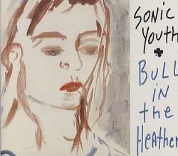 Sonic Youth : Bull in the Heather
